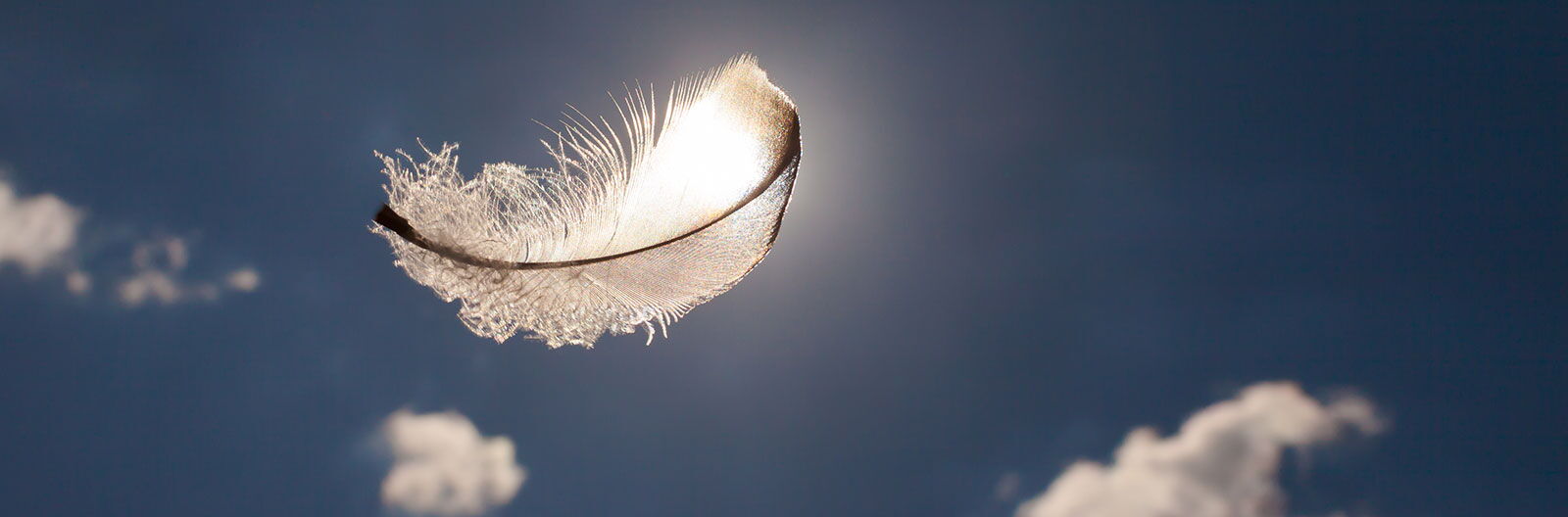 Systemische Beratung, Mentalfeldtechniken, Somatic Ego-State Coaching