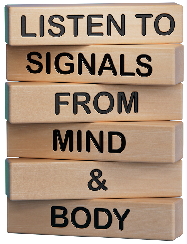 Systemische Beratung, Mentalfeldtechniken, Somatic Ego-State Coaching